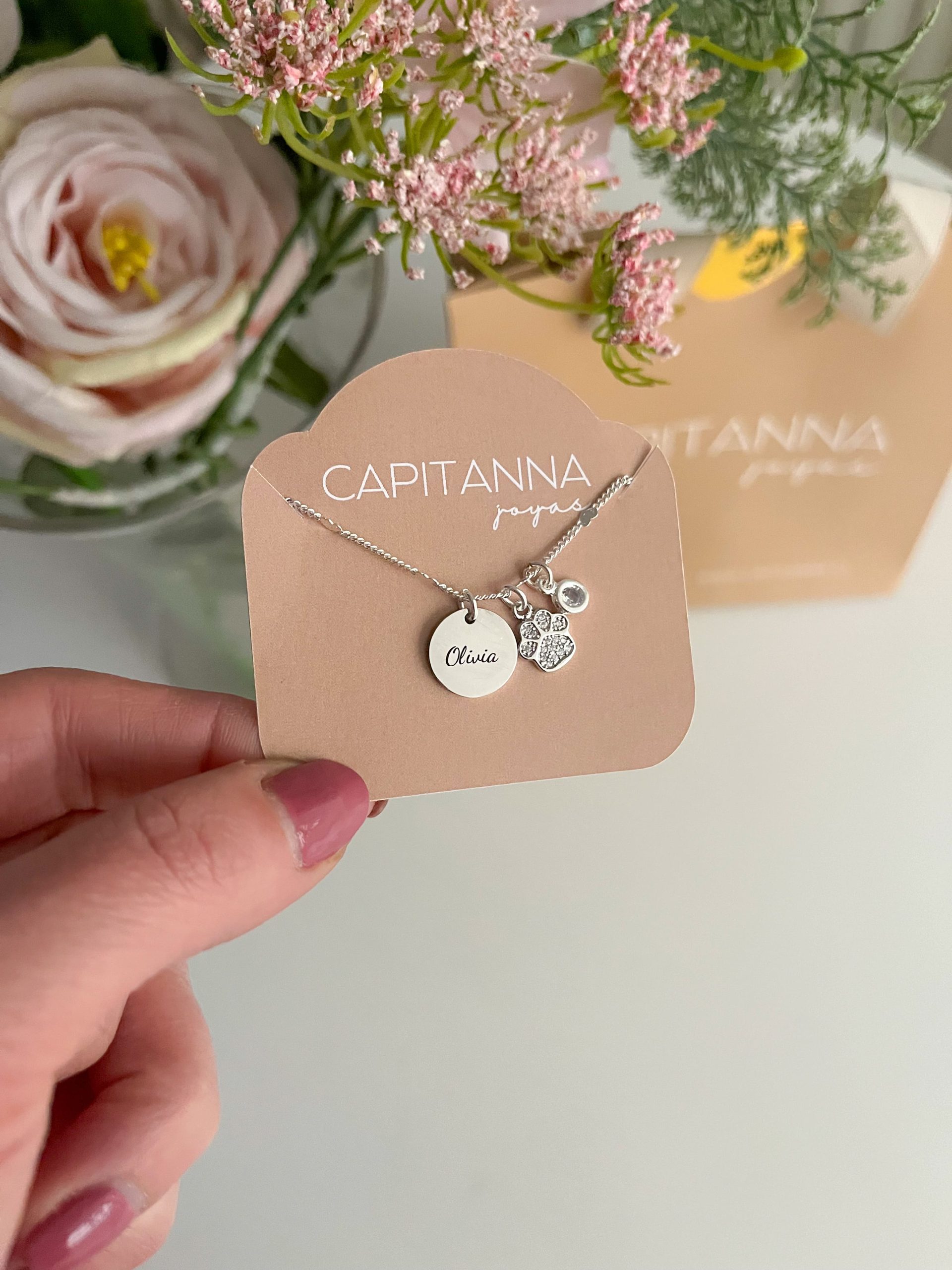 collar mascotas